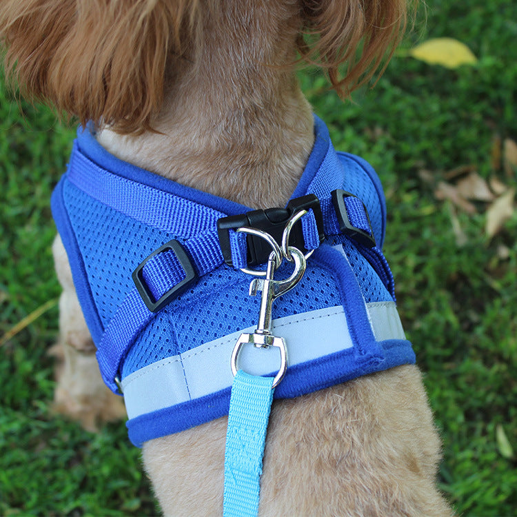 Pug Dog Harness