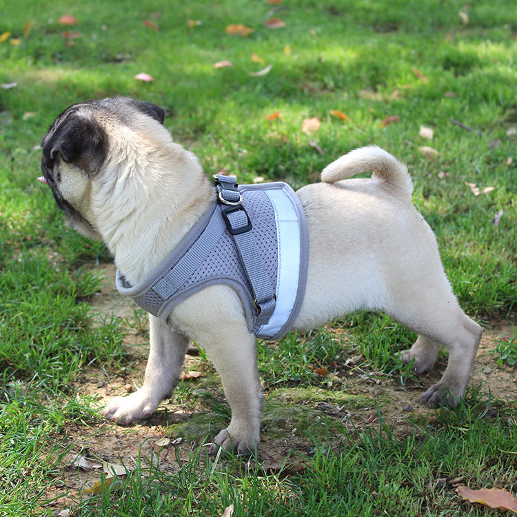 Pug Dog Harness