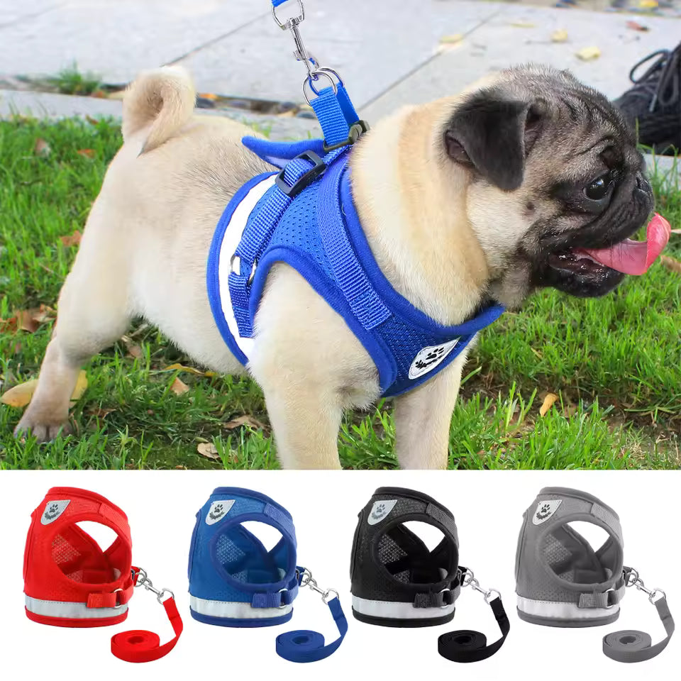 Pug Dog Harness